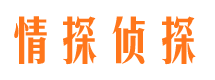 雅江出轨调查